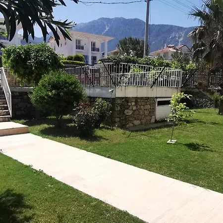 Palm Villa *