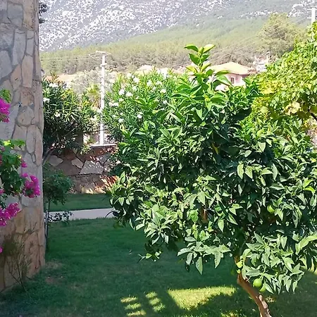 Palm Villa Fethiye