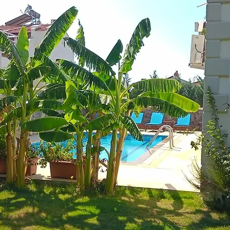 Villa Palm Fethiye
