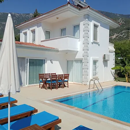 Palm Villa
