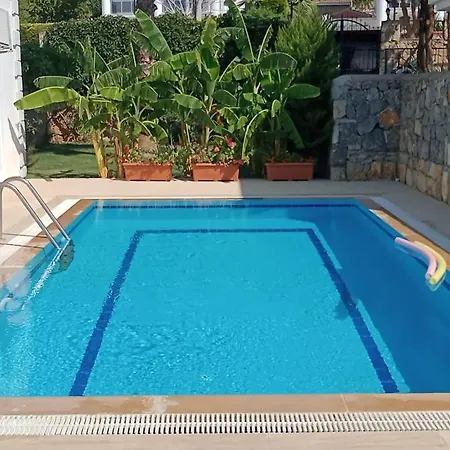 Palm Villa *